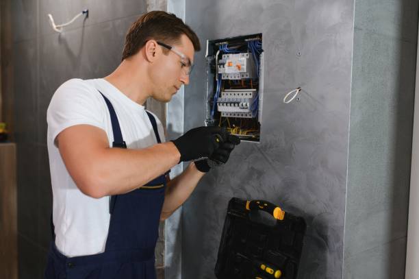 Best Electric Panel Repair  in St Cloud, MN